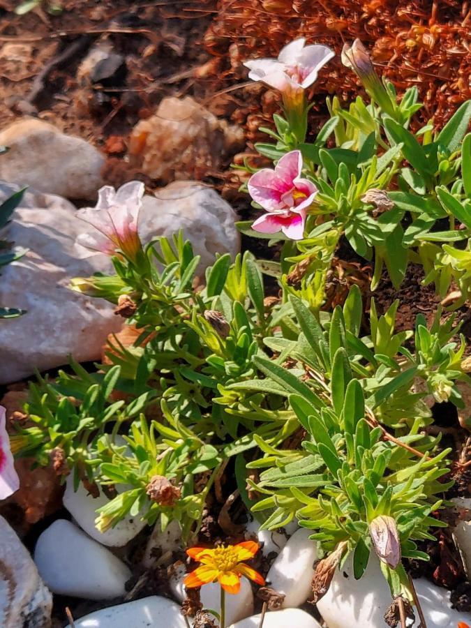 Villa Sommerzauber Mali Lošinj Zewnętrze zdjęcie